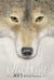 Old Wolf