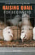 Raising Quail for Beginners: Small Bird Farming Guide