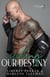 Seeking Our Destiny - Nelson Brothers, #3