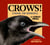 Crows! - Strange and Wonderful