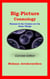 Big Picture Cosmology - Concise Edition