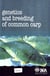 Genetics and breeding of common carp