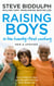 Raising Boys in the 21st Century - Completely Updated and Revised