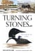 Turning Stones - Discovering the Life of Water