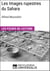 Les Images rupestres du Sahara d'Alfred Muzzolini - Les Fiches de Lecture d'Universalis