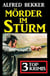 Mörder im Sturm: 3 Top Krimis