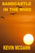 Sandcastle In The Wind