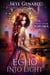 Echo Into Light, Book 3 in The Echo Saga - Echo Saga, #3