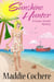 Sunshine Hunter - A Susan Hunter Mystery, #1