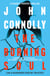 The Burning Soul - Private Investigator Charlie Parker hunts evil in the tenth book in the globally bestselling series