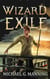 Wizard in Exile - Wrath of the Stormking, #1
