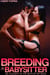 Breeding the Babysitter #2: Caught in the Bath by my Boss - Breeding the Babysitter, #2