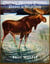 Owen’s Moose Story: Seeing Is Believing