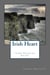 Irish Heart - The Irish Treasures Saga, #2