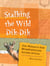 Stalking the Wild Dik-Dik - One Woman's Solo Misadventures Across Africa