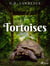 Tortoises