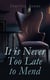 It is Never Too Late to Mend - Historical Romance