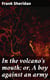 In the volcano's mouth; or, A boy against an army
