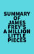 Summary of James Frey's A Million Little Pieces