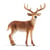 Figurine  Cerf de Virginie - Schleich