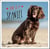 Love is a Spaniel - A Dog-Tastic Celebration of the World’s Most Lovable Breed