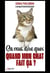 Ça veut dire quoi quand mon chat fait ça ?