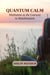 Quantum Calm: Meditation as the Gateway to Manifestation