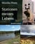 Stationen meines Lebens - Krankenstation USA Sibirien Irland