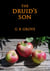 The Druid's Son - Druid's Son, #1