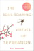 The Soul-Soaring Virtues of Separation - 111 Learnings to Heal Your Heart and Help You Fly