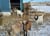 The Complete Guide to Goat Milk Products: Soap, Cheese, Lotion, and More