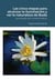 Las cinco etapas para alcanzar la iluminación y ver la naturaleza de Buda