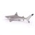 Figurine Requin à pointes noires - Papo