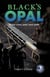 Black's Opal - Crystal Cave Adventures, #3