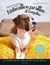 Elever son chien avec l'éducation positive et complice