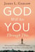 God Will See You Through This - 26 Lessons I Learned from the Father through the Joys and Hurts of Everyday Life