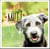 Love is a Mutt - A Dog-Tastic Celebration of the World's Cutest Mixed and Cross Breeds