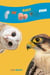 The Birds Book - Kids Love Animals