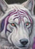 Die Spur des Wolfskaters