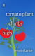 A Tomato Plant Climbs High