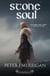 Stone Soul - The Ailigh Wars Saga, #3