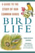 Bird Life - A Guide to the Study of Our Common Birds
