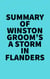 Summary of Winston Groom's A Storm in Flanders