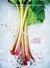 Harvest - Unexpected Projects Using 47 Extraordinary Garden Plants