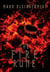 The Fire Rune - The Ronan Ryan Odyssey, #2