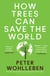 How Trees Can Save the World