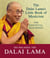The Dalai Lama's Little Book of Mysticism - The Essential Teachings