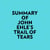 Summary of John Ehle's Trail of Tears
