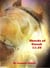 Shreds of Gorak: 11-20 - Short reads of Gorak, #2