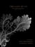 The Last of Us: Part I and Part II Scripts
